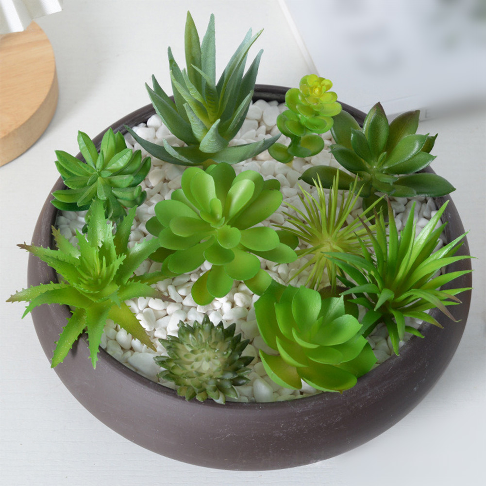 Succulent Arrangement Mini - Искусственные мини-бонсай и суккуленты для декора