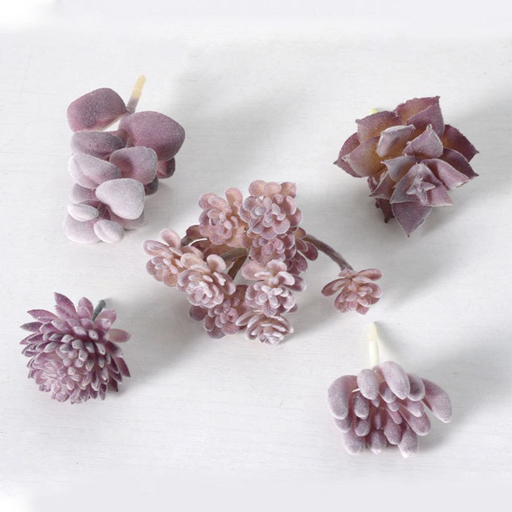 Succulent Arrangement Mini - Очаровательный круглый горшок для суккулентов с