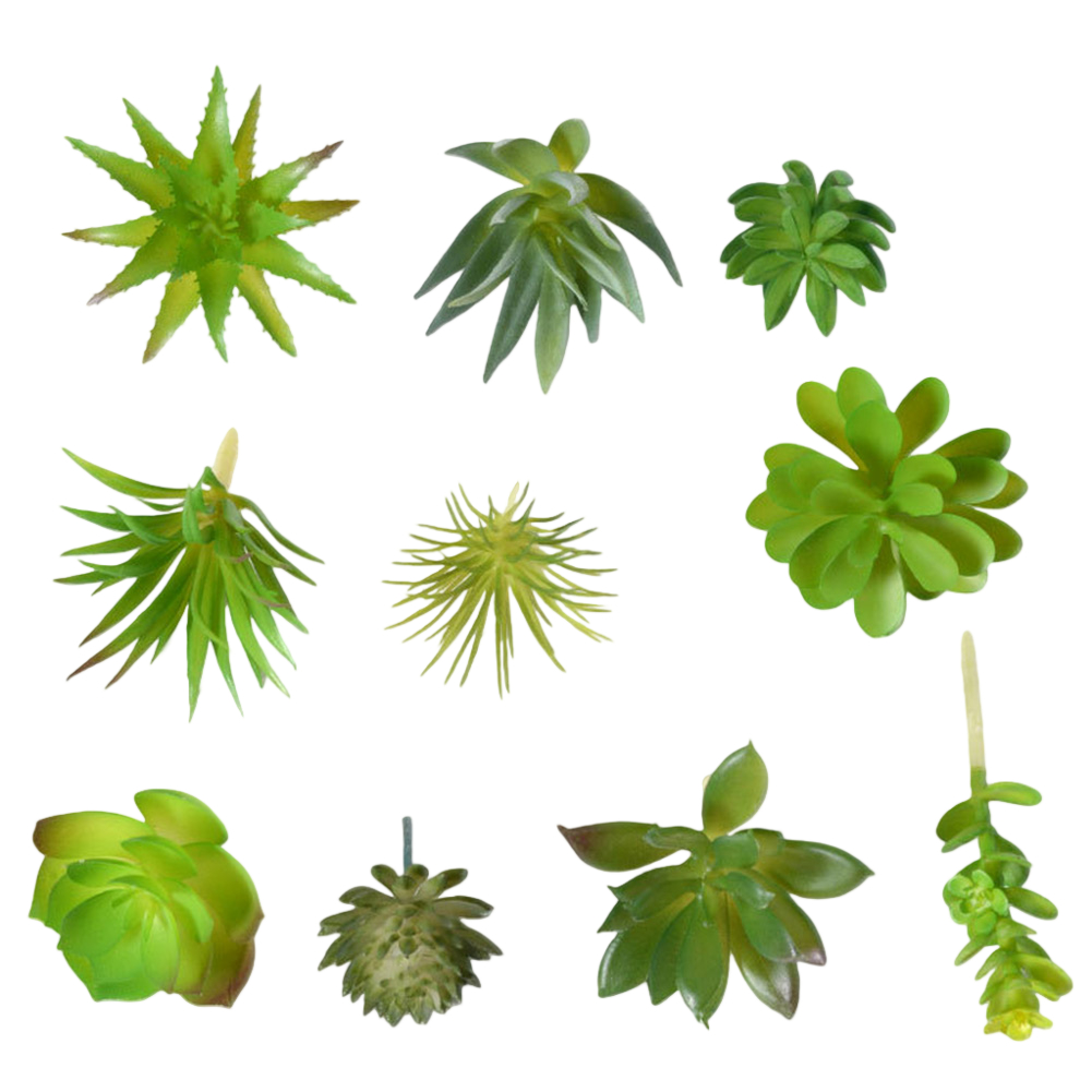 Succulent Arrangement Mini - Реквизит для фотосъемки: Искусственные суккуленты в