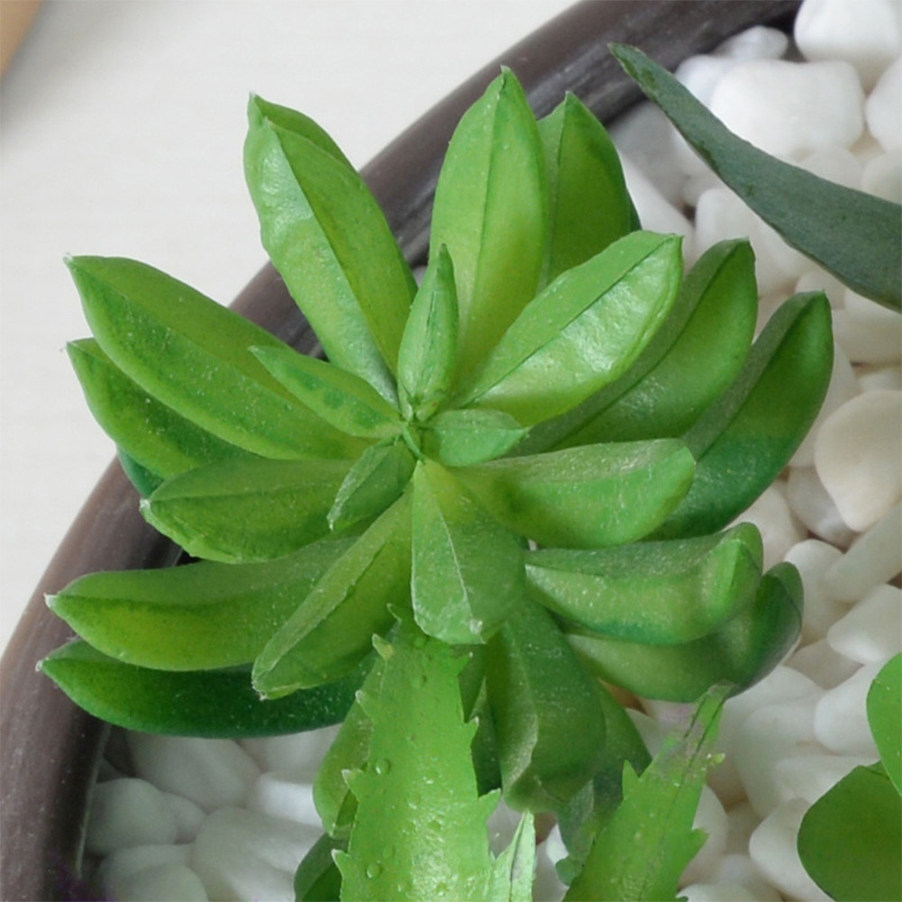 Succulent Arrangement Mini - Современная композиция из искусственных суккулентов в