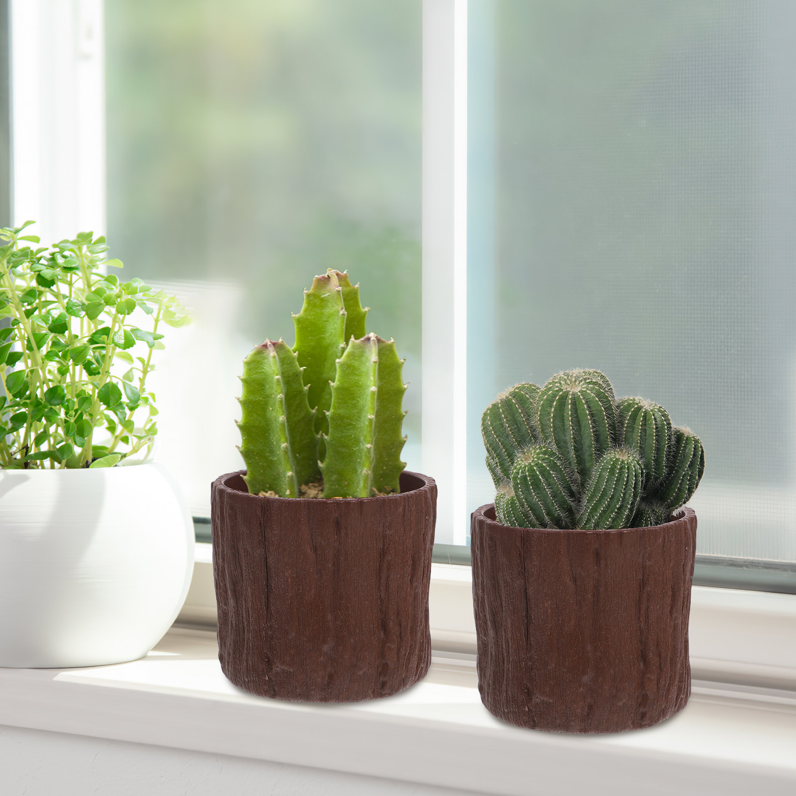 4 шт. мини-пластиковых кашпо с – обзор и цена Succulent Arrangement Mini