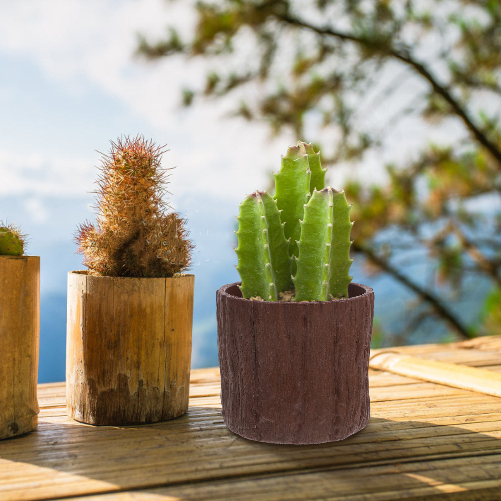 4 шт. мини-пластиковых кашпо с – обзор и цена Succulent Arrangement Mini
