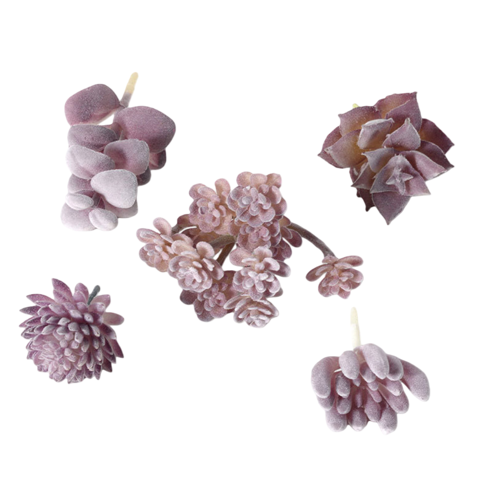 Пластиковые композиции из сукк – обзор и цена Succulent Arrangement Mini