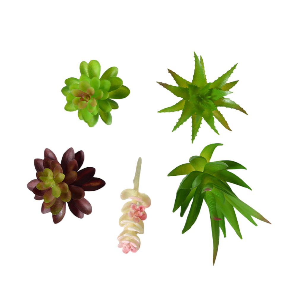 Пластиковые композиции из сукк – обзор и цена Succulent Arrangement Mini