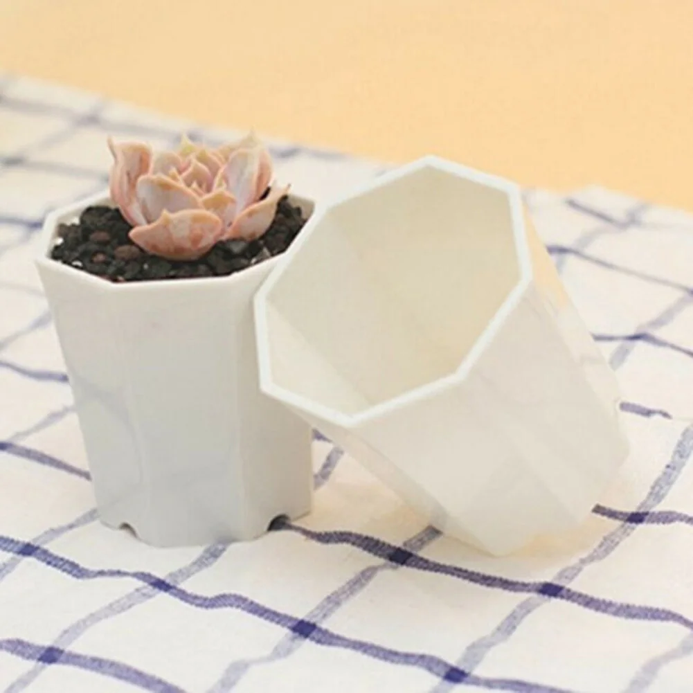 10 шт. пластиковых мини-горшко – обзор и цена Succulent Arrangement Mini