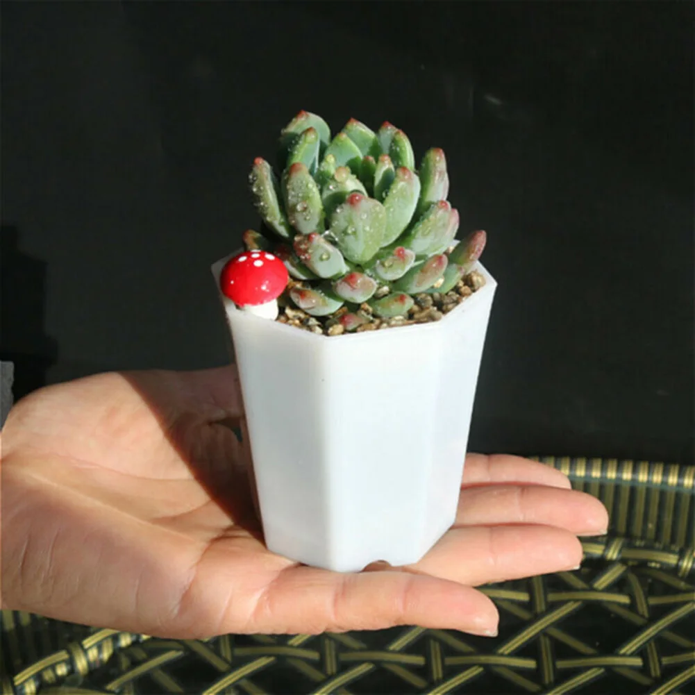 10 шт. пластиковых мини-горшко – обзор и цена Succulent Arrangement Mini
