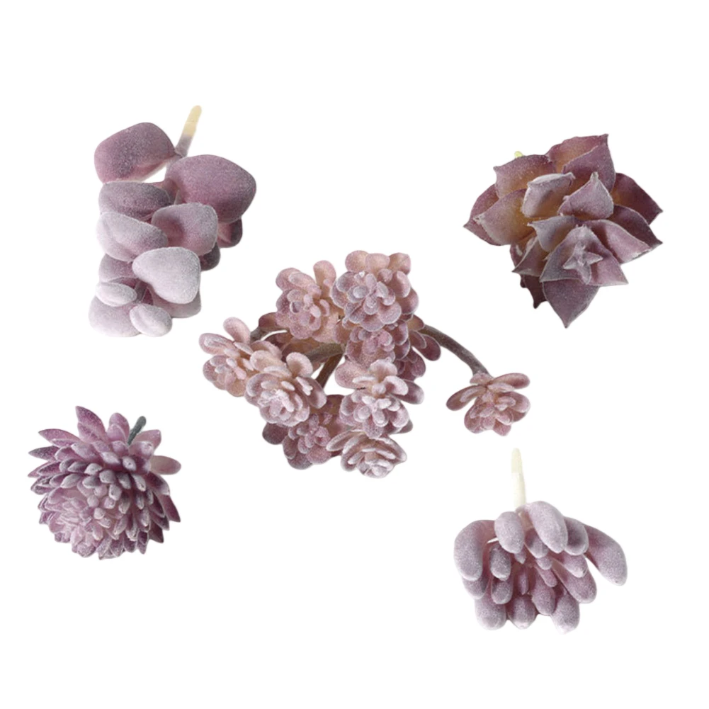 Низкие эксплуатационные расход – обзор и цена Succulent Arrangement Mini