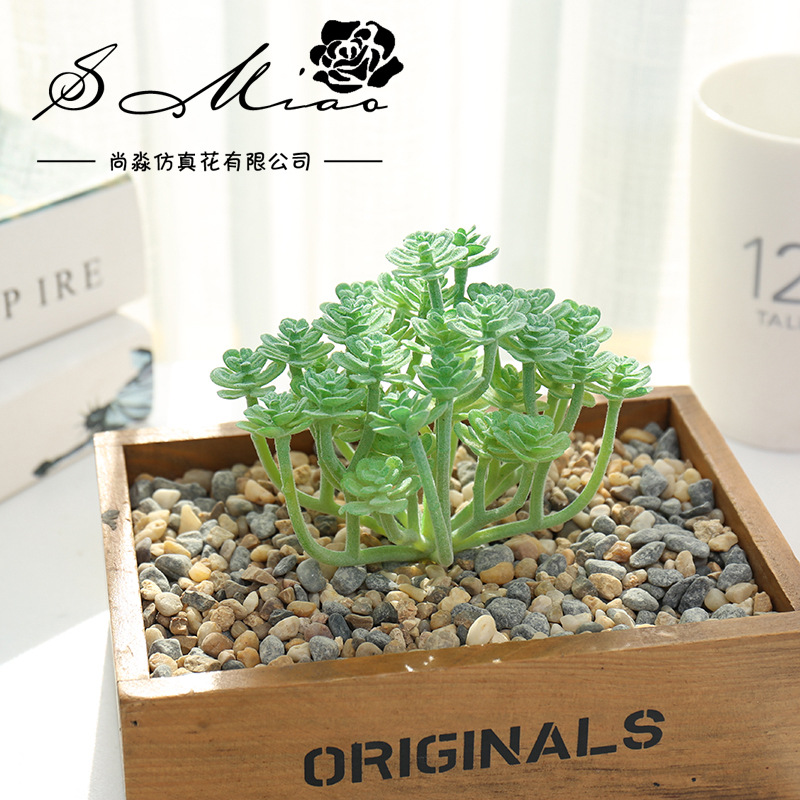 Искусственные суккуленты для р – обзор и цена Succulent Arrangement Mini