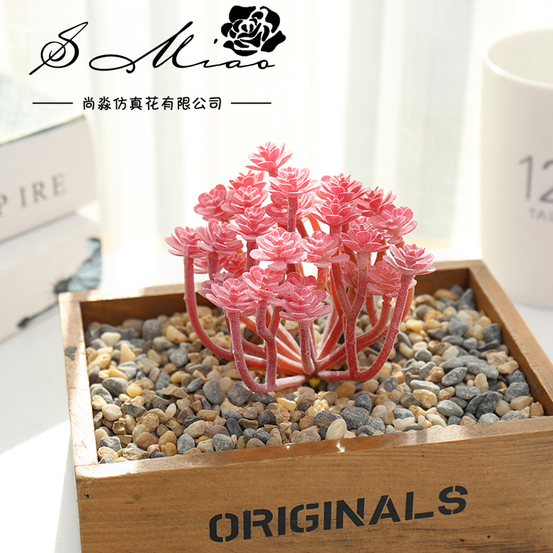 Искусственные суккуленты для р – обзор и цена Succulent Arrangement Mini