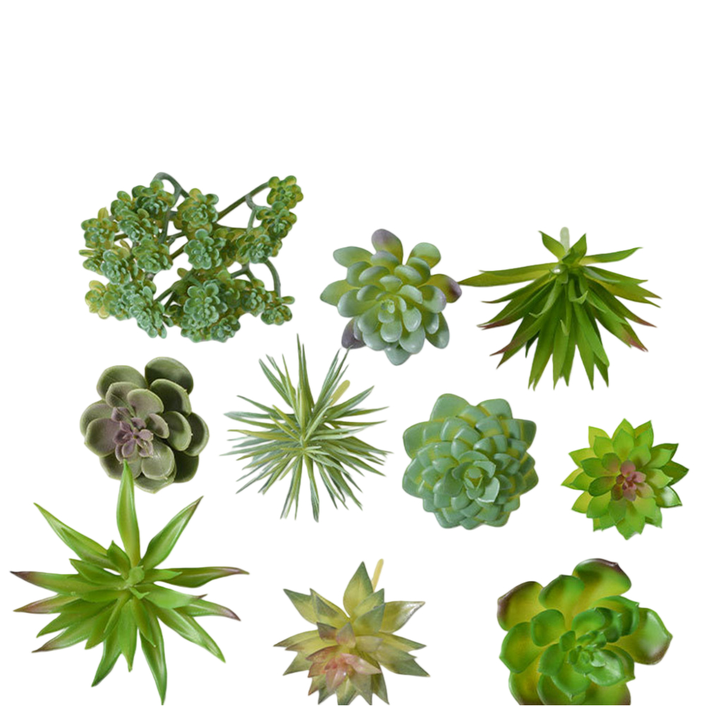 Искусственная композиция из су – обзор и цена Succulent Arrangement Mini