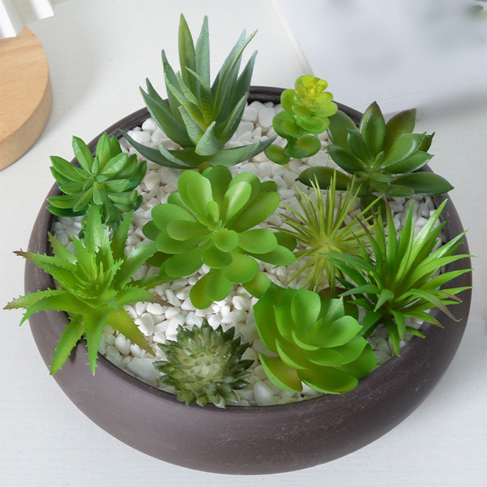 Очаровательный круглый горшок  – обзор и цена Succulent Arrangement Mini