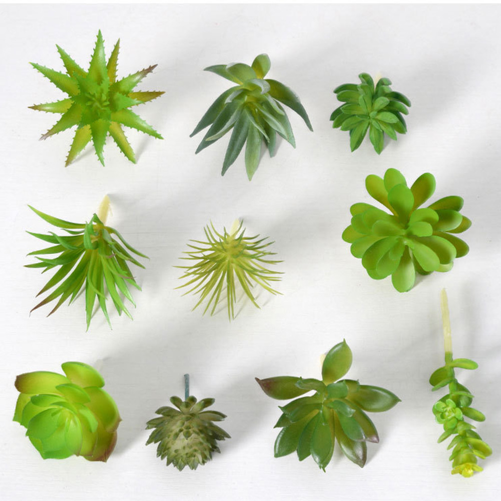 Очаровательный круглый горшок  – обзор и цена Succulent Arrangement Mini