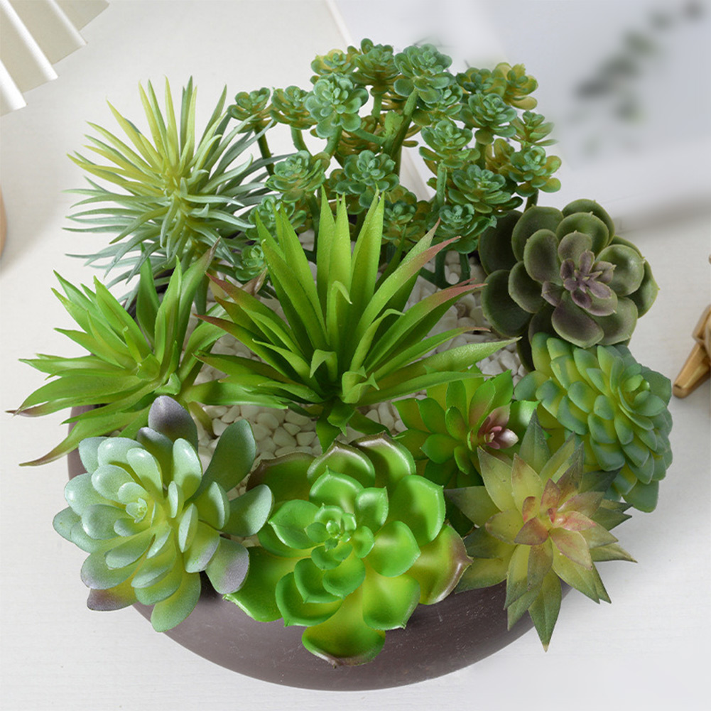 Реквизит для фотосъемки: Искус – обзор и цена Succulent Arrangement Mini