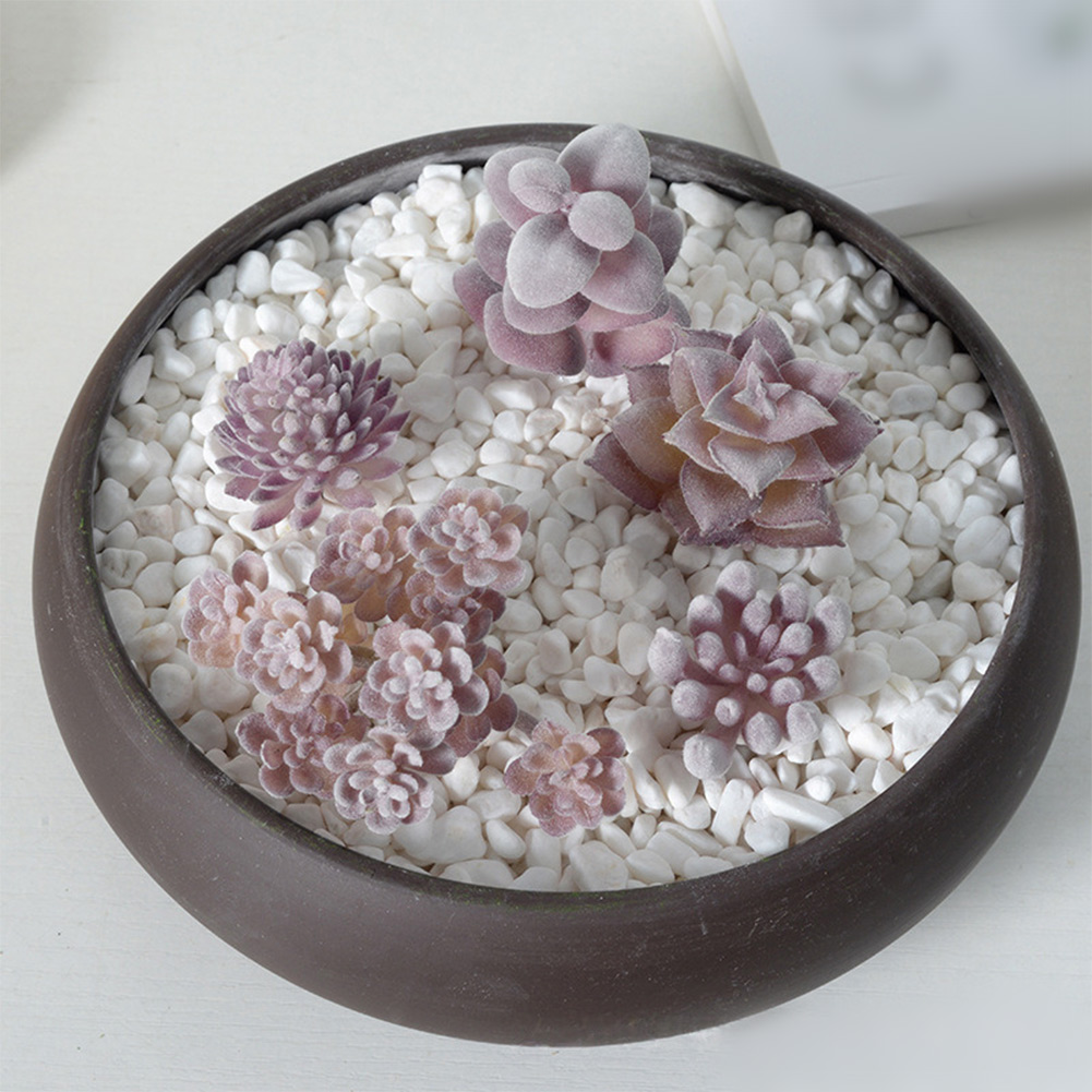 Реквизит для фотосъемки: Искус – обзор и цена Succulent Arrangement Mini