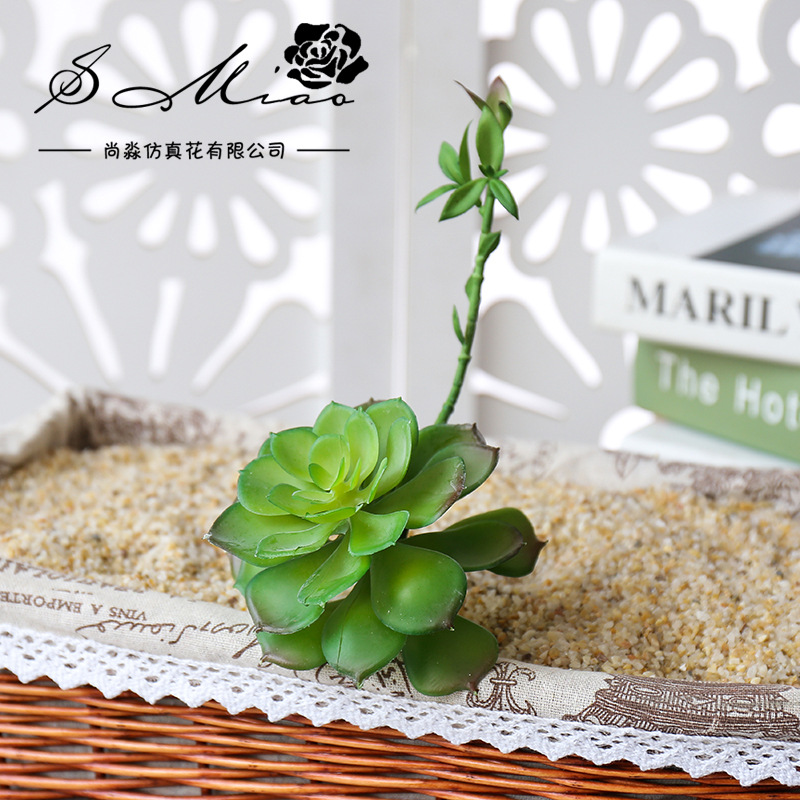 Большие искусственные суккулен – обзор и цена Succulent Arrangement Mini