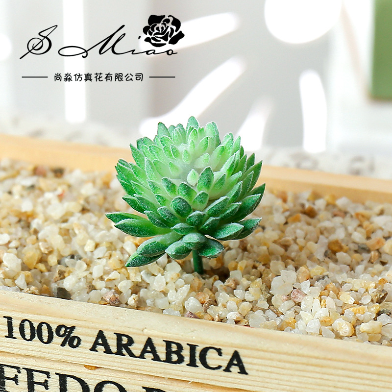 Искусственные суккуленты Wusma – обзор и цена Succulent Arrangement Mini