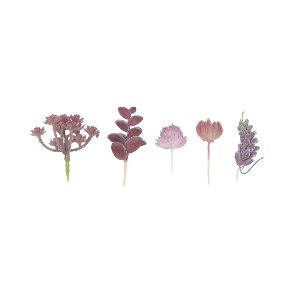 Современная композиция из иску – обзор и цена Succulent Arrangement Mini