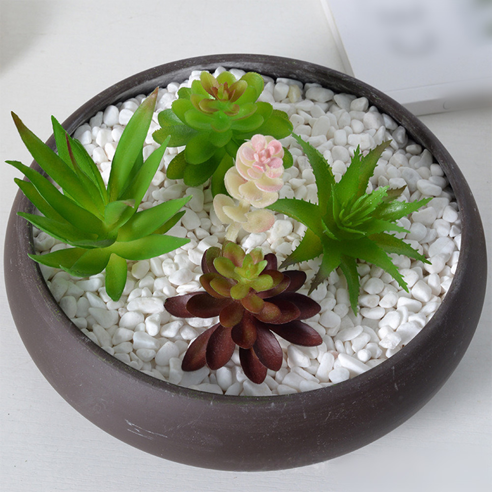 Современная композиция из иску – обзор и цена Succulent Arrangement Mini