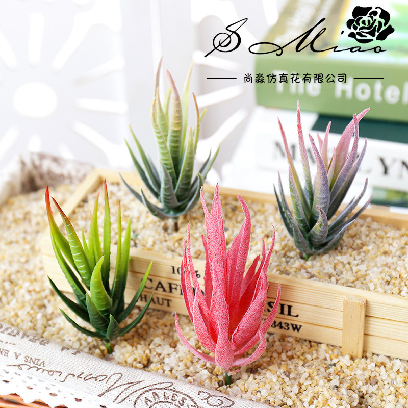 Wusmart Ban Ma Lu Hui Искусств – обзор и цена Succulent Arrangement Mini