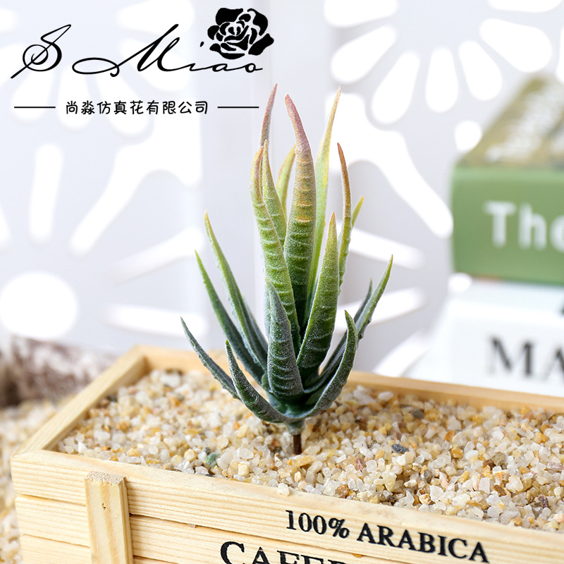 Wusmart Ban Ma Lu Hui Искусств – обзор и цена Succulent Arrangement Mini