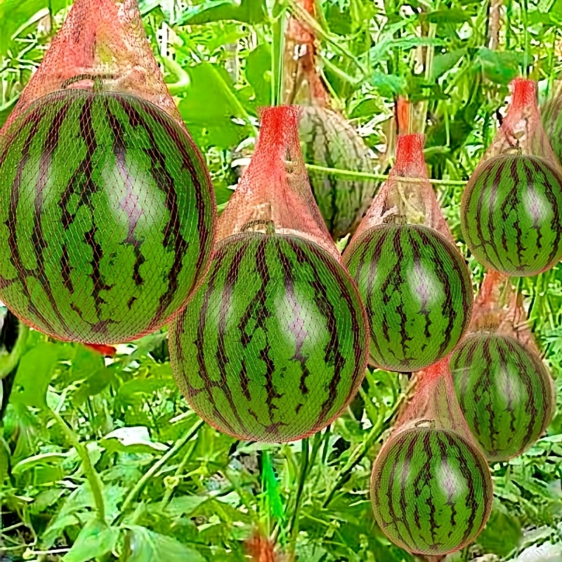 100 штук прочной пластиковой с – обзор и цена Plant Parenting